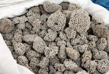 海浮石的功效与作用-海浮石有什么作用？